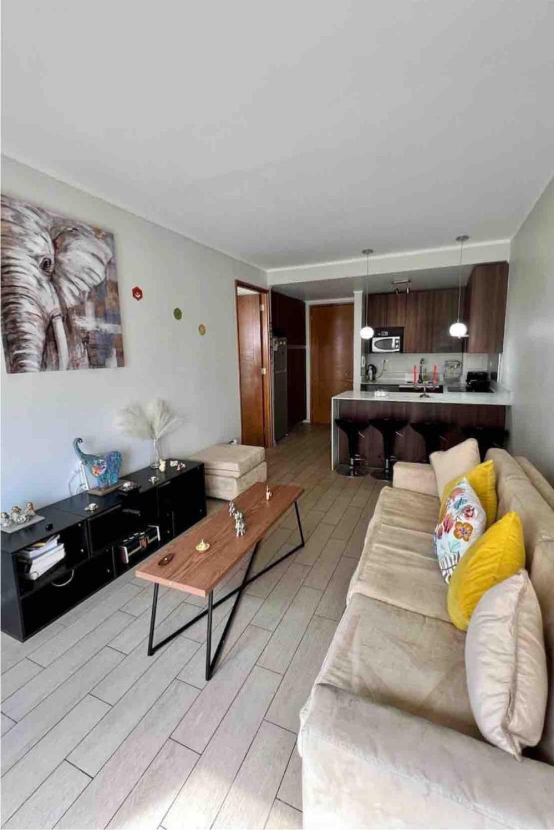 Apartamento Comfortable Depto S&a Condes *