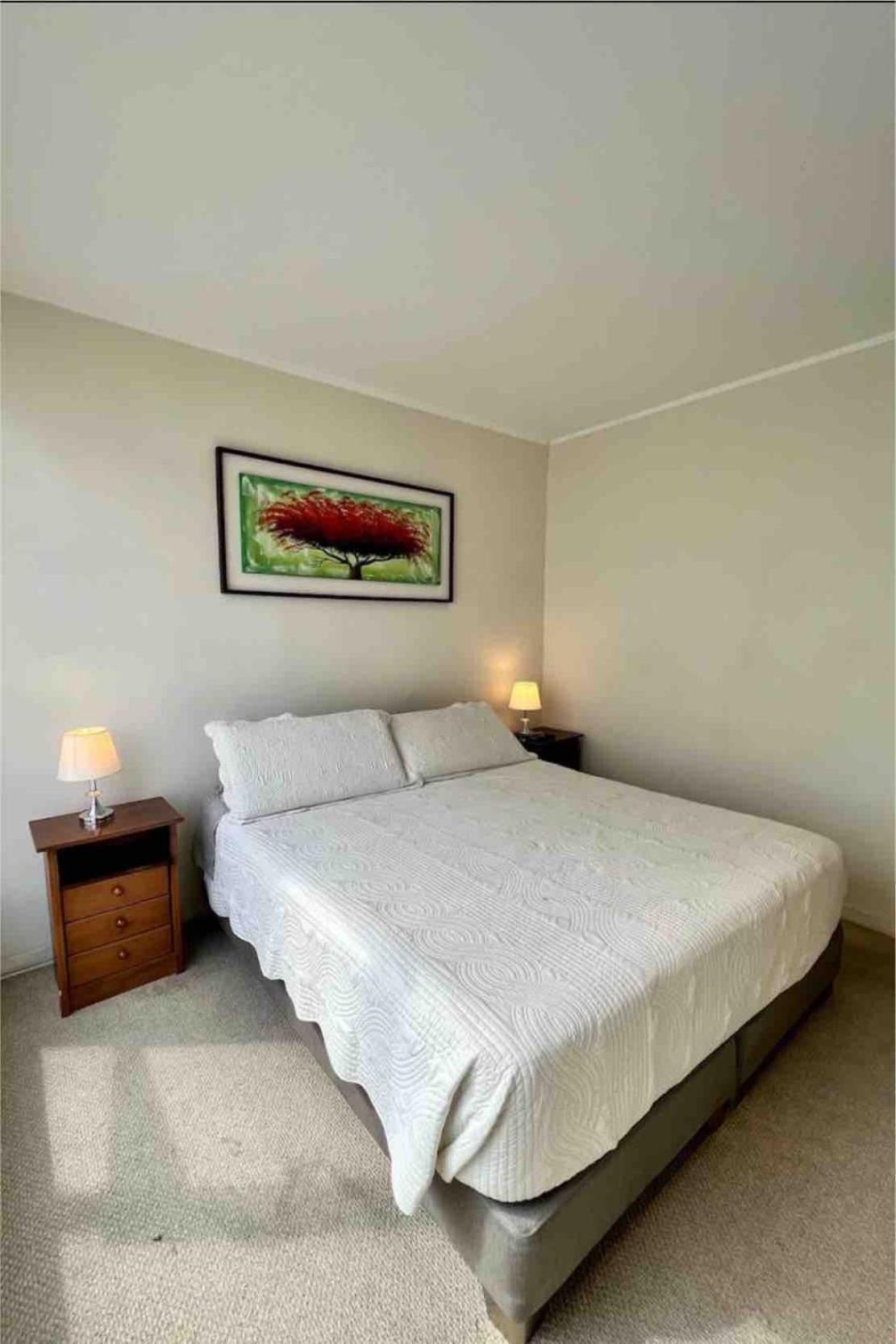 Comfortable Depto S&a Condes